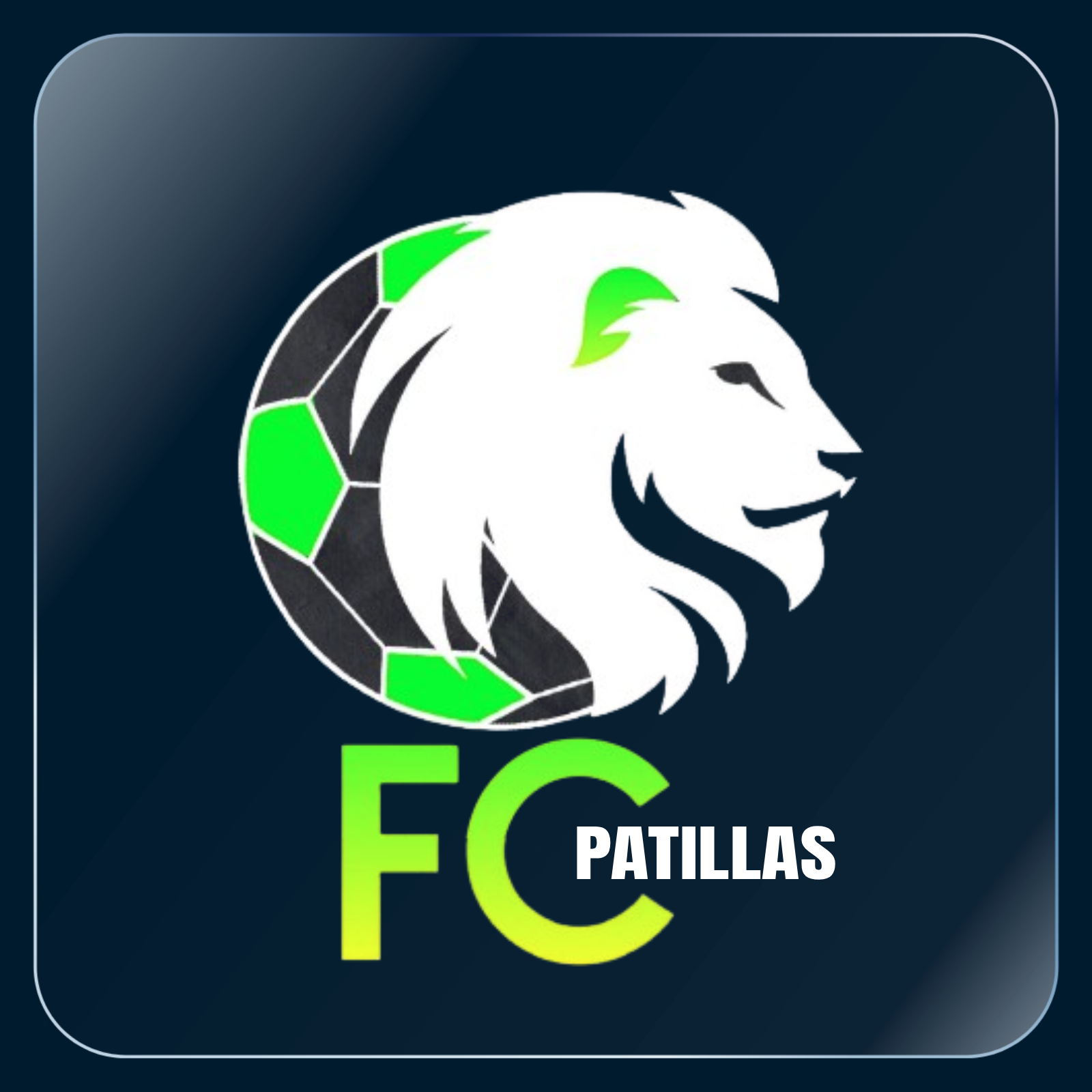 Logo de PATILLAS FC