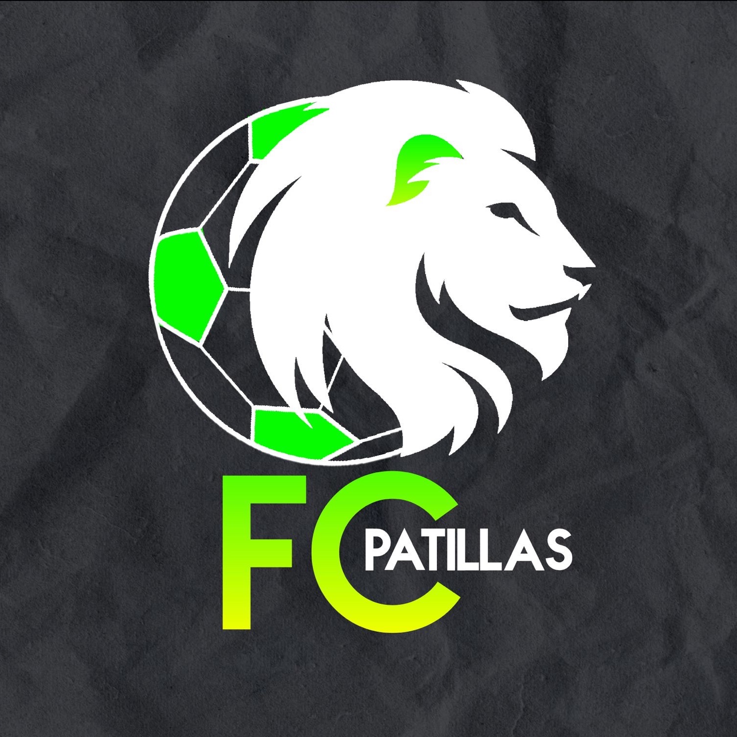 Logo de PATILLAS FC